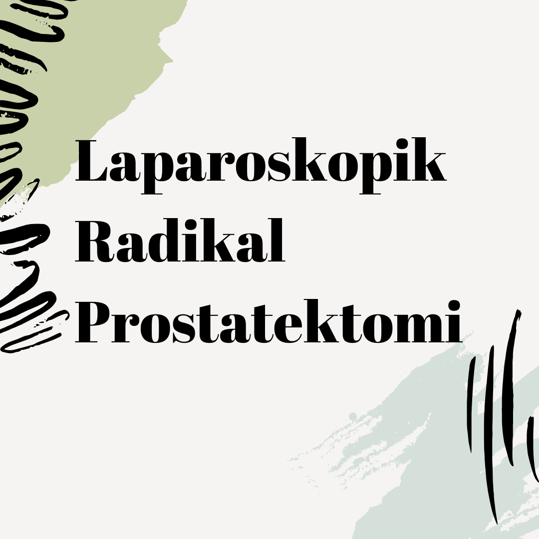 Laparaskopik Radikal Prostatektomi