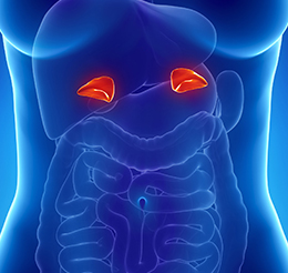 Adrenal Tümörler-Böbrek Üstü Bezi Hastalıkları