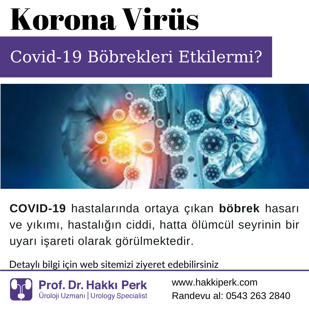 Korona (Covid-19 ) ve Böbrek