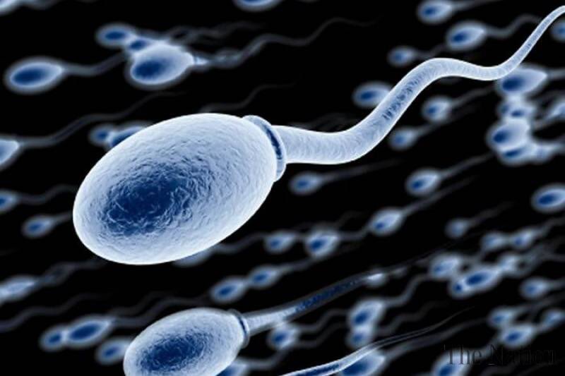 uroloji-sperm-testi