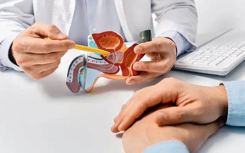 Prostate Diseases